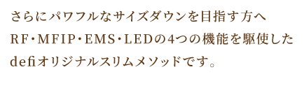 痩身に効果的なドクターイビスルージュセカンド